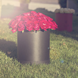 Similar image 13066743