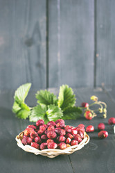 Similar image 13066784