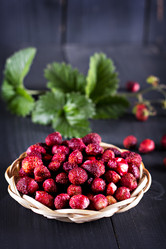 Similar image 13066803