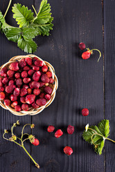 Similar image 13066804