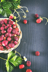 Similar image 13066822