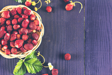 Similar image 13066823