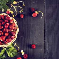 Similar image 13066824