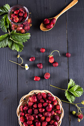 Similar image 13066844