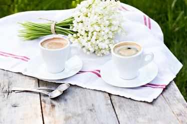 Similar image 13067104