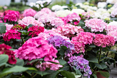 Similar image 13067120