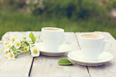 Similar image 13067144