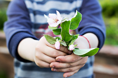 Similar image 13067202