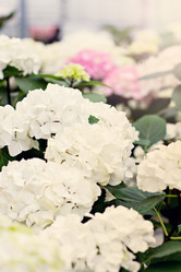 Similar image 13067203