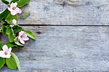 Similar image 13067264