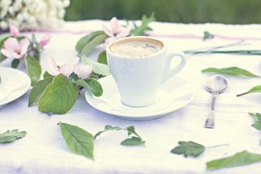 Similar image 13067284