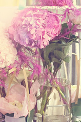 Similar image 13067364