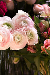 Similar image 13067383