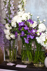 Similar image 13067464