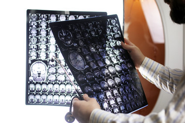 Similar image 13079735