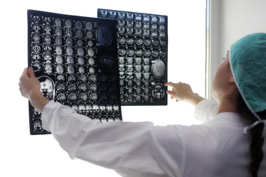 Similar image 13079795