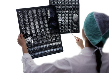 Similar image 13079835