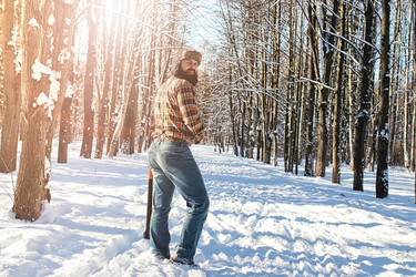 Similar image 13079737