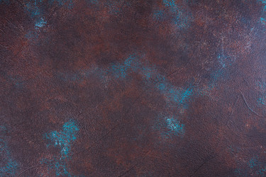 Similar image 13088052