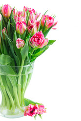 Similar image 13088350