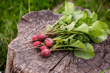 Similar image 13079616