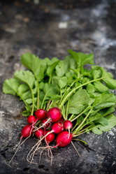 Similar image 13079631