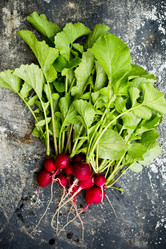 Similar image 13079632