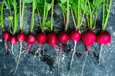 Similar image 13079633