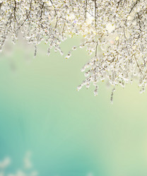 Similar image 13088771