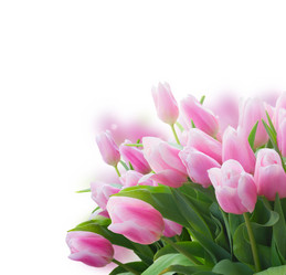 Similar image 13088793