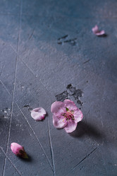 Similar image 13088273