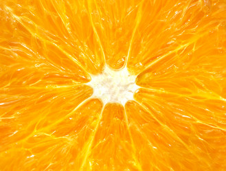 Similar image 13078036