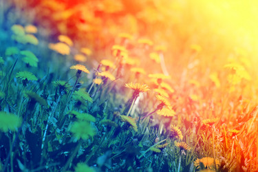 Similar image 13077981