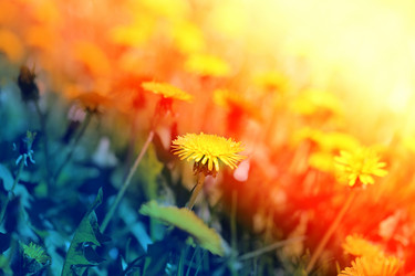 Similar image 13078006