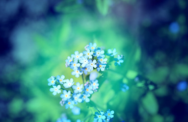 Similar image 13078008