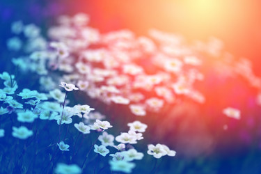 Similar image 13078009