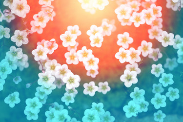 Similar image 13078604