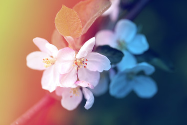 Similar image 13078605