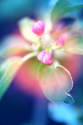 Similar image 13078606