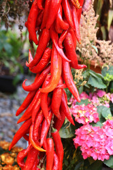 Similar image 13078612