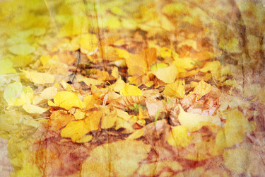 Similar image 13078641