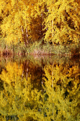 Similar image 13078642