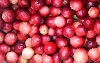 Similar image 13078643