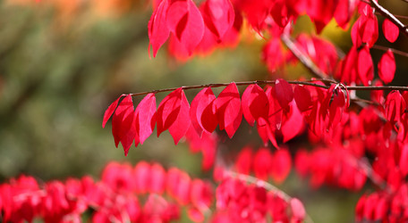 Similar image 13078252