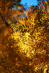 Similar image 13078254