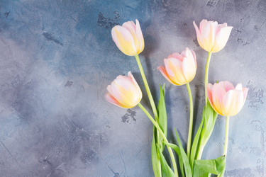 Similar image 13088212