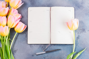 Similar image 13088213