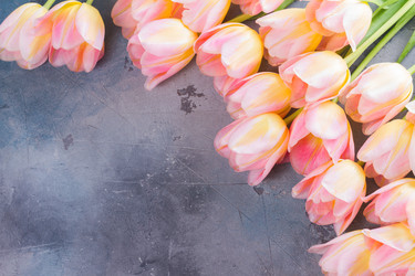 Similar image 13088333