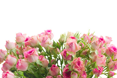 Similar image 13088373