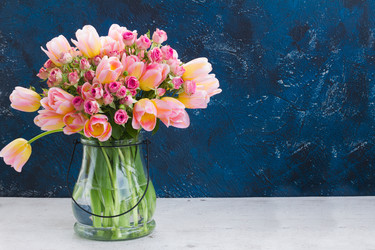 Similar image 13088751